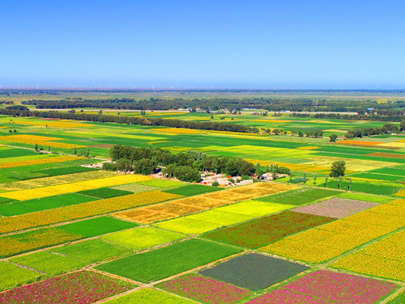 智慧灌區信息化系統助力灌區節水，打造綠色生態新農業